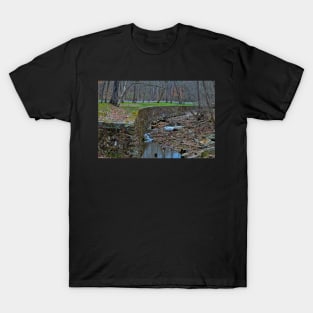 Giant City Park (6) T-Shirt